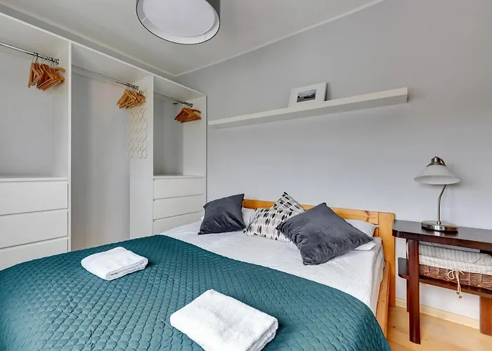 Comfort Abrahama 格丁尼亚